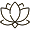 Lotus 1